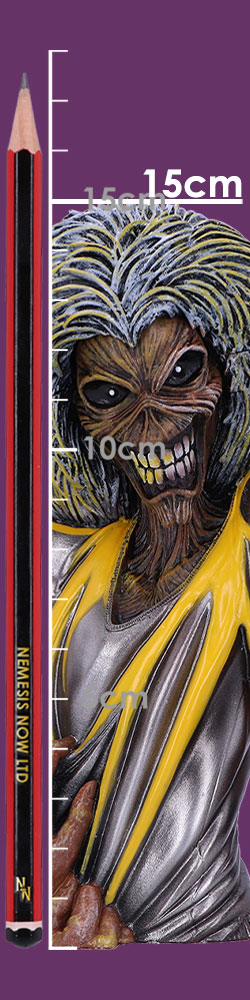 Iron Maiden Killers Bust Box (Small) 16.5cm Iron Maiden Killers Bust Box (Small) 16.5cm