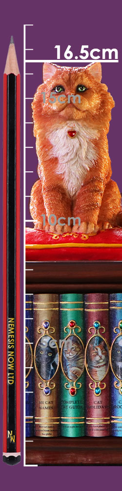 Mad About Cats Box (LP) 16.5cm Mad About Cats Box (LP) 16.5cm