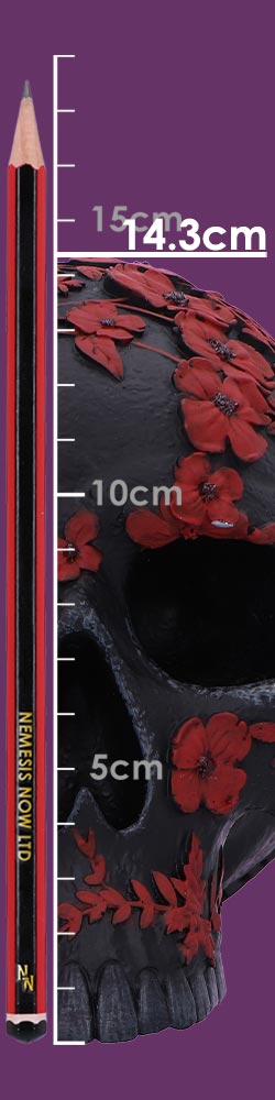 Age of Opium 18.5cm Age of Opium 18.5cm