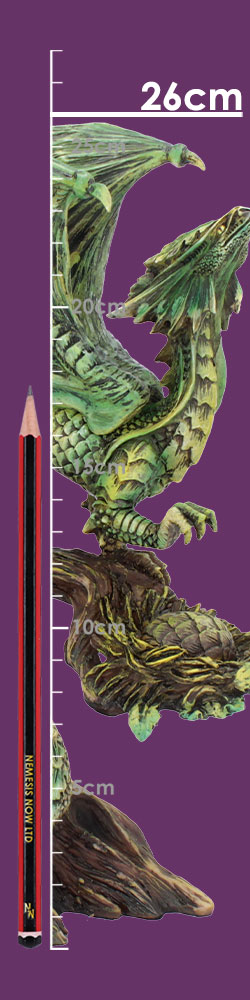 Adult Forest Dragon (AS) 25.5cm Adult Forest Dragon (AS) 25.5cm