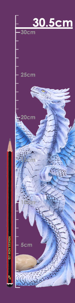 Adult Silver Dragon (AS) 31.5cm Adult Silver Dragon (AS) 31.5cm