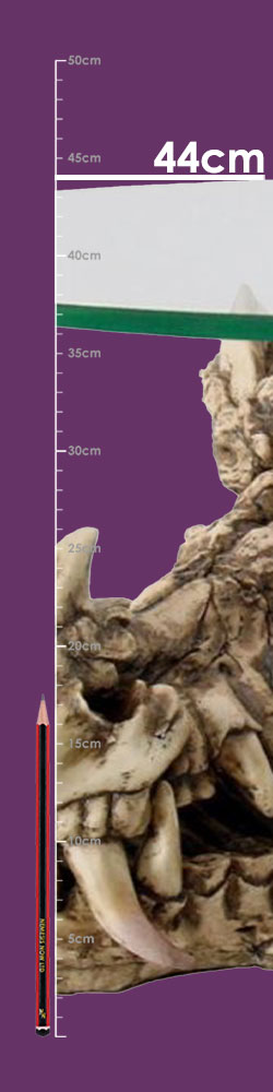 Draconic Relic Table 89cm Draconic Relic Table 89cm