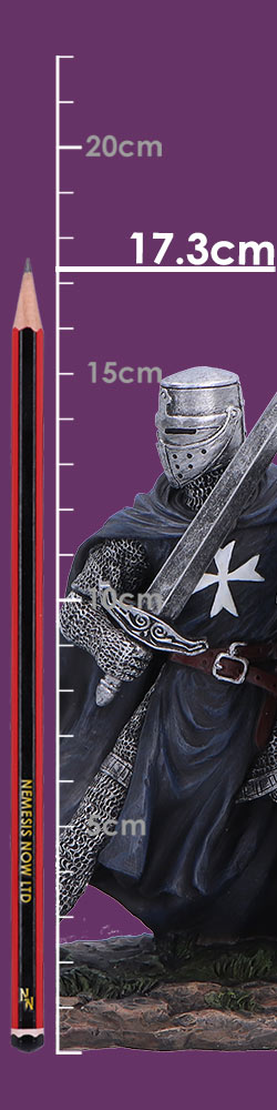 Knight Hospitaller Knight Hospitaller