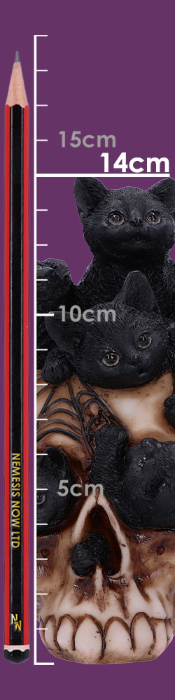 Cranial Litter 14cm Cranial Litter 14cm