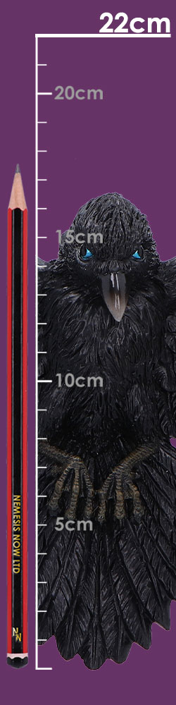 Flight of the Raven 35cm