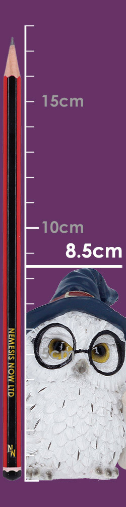 Archimedes 8.5cm Archimedes 8.5cm