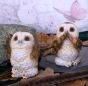 Three Wise Brown Owls 7.5cm Owls Statues Small (Under 15cm)