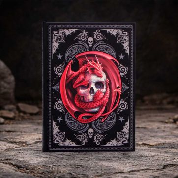 Skull Embrace Journal (AS) 17cm