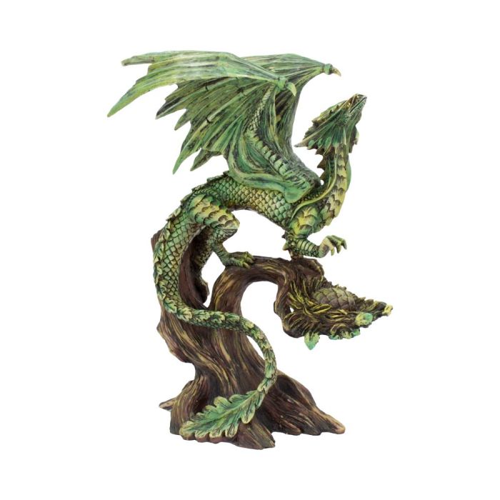 Adult Forest Dragon (AS) 25.5cm main product photo