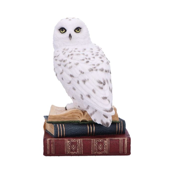 Library of Wisdom 17cm main product photo
