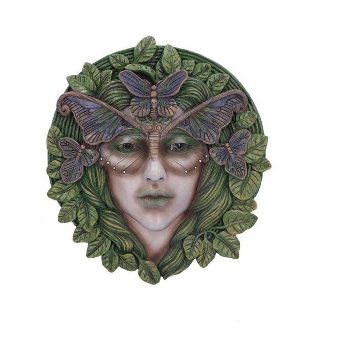 Fern 20cm main product photo