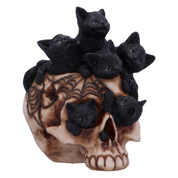 Cranial Litter 14cm main product photo