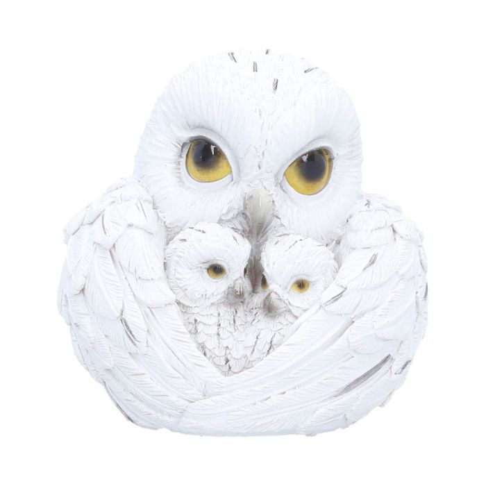 Feathered Nest 10.7cm main product photo