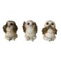 Three Wise Brown Owls 7.5cm Owls Statues Small (Under 15cm)