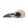 Edgar's Raven Skull 21cm Animal Skulls Father's Day