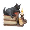 The Witching Hour (LP) 20.5cm Cats Coming Soon |