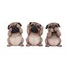 Three Wise Pugs 8.5cm Dogs Gift Shop Essentials Pocket Money
