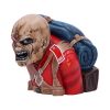 Iron Maiden The Trooper Bust Box (Small) 12cm Band Licenses Licensed Rock Bands