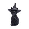 Purrah 30cm (Large) Cats Top 200 None Licensed