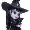 Hexara 15cm Cats Gifts Under £100
