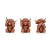 Three Wise Highland Cows 9.6cm Animals Easter