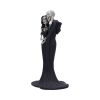 Eternal Embrace 24cm Skeletons Top 200 None Licensed