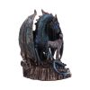 Protector of Magick (LP) Bronze 17.5cm Dragons Dragon Figurines