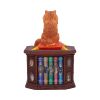 Mad About Cats Box (LP) 16.5cm Cats Sale Homeware