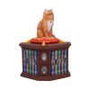 Mad About Cats Box (LP) 16.5cm Cats Sale Homeware