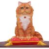 Mad About Cats Box (LP) 16.5cm Cats Sale Homeware