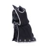 Zefur 10cm Cats Best Sellers