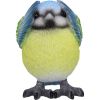 Three Wise Blue Tits 8cm Animals NEMESIS NOW | EASTER SALE