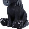 Culticorn (Large) 24.5cm Unicorns Gifts Under £100