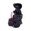 Cult Cuties Curious Cauldron 18.5cm Cats Top 200 None Licensed