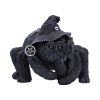 Arachnias 9.7cm Animals Top 200 None Licensed
