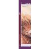 Highland Cow Foldable Lamp 21cm - 2