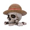 One Piece Luffy Jolly Roger Box 19.5cm Anime Top 200