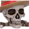 One Piece Luffy Jolly Roger Box 19.5cm Anime Top 200