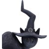 Hex 15.2cm Cats Halloween Party