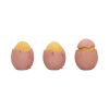 Three Wise Chicks 6.7cm Animals NEMESIS NOW | EASTER SALE