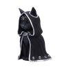 Zefur (Large) 23.2cm Cats Top 200 None Licensed