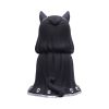 Zefur (Large) 23.2cm Cats Top 200 None Licensed
