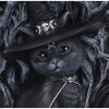 Cult Cuties Circle of Mischief Snow Globe 18cm Cats Gifts Under £100