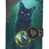 Rise of the Witches Embossed Purse (LP) 18.5cm Cats Easter
