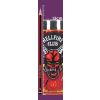 Stranger Things Hellfire Club Tankard 17cm - 9