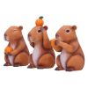 Three Wise Capybaras 10.5cm Animals Mother's Day