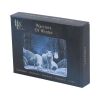 Warriors of Winter Card Holder (LP) 10.5cm - 4