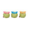 Three Wise Sprouts Unspecified Out Of Stock