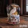 Harry Potter Hogsmeade Village Snow Globe Fantasy New Arrivals
