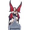 Aracnafaria Box Fairies New Arrivals